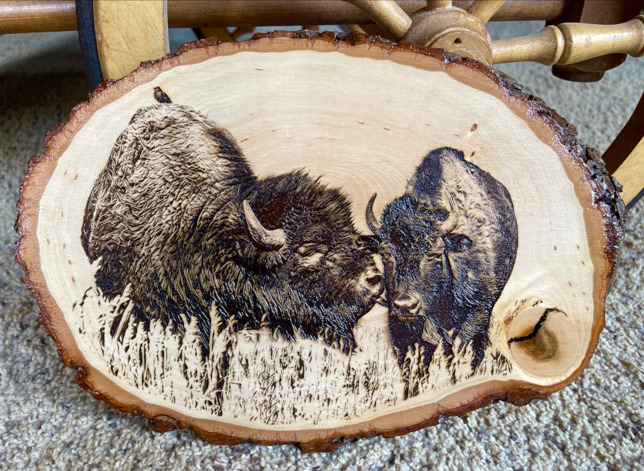 Buffalo Couple Inspired by Hilary Bralove Photography